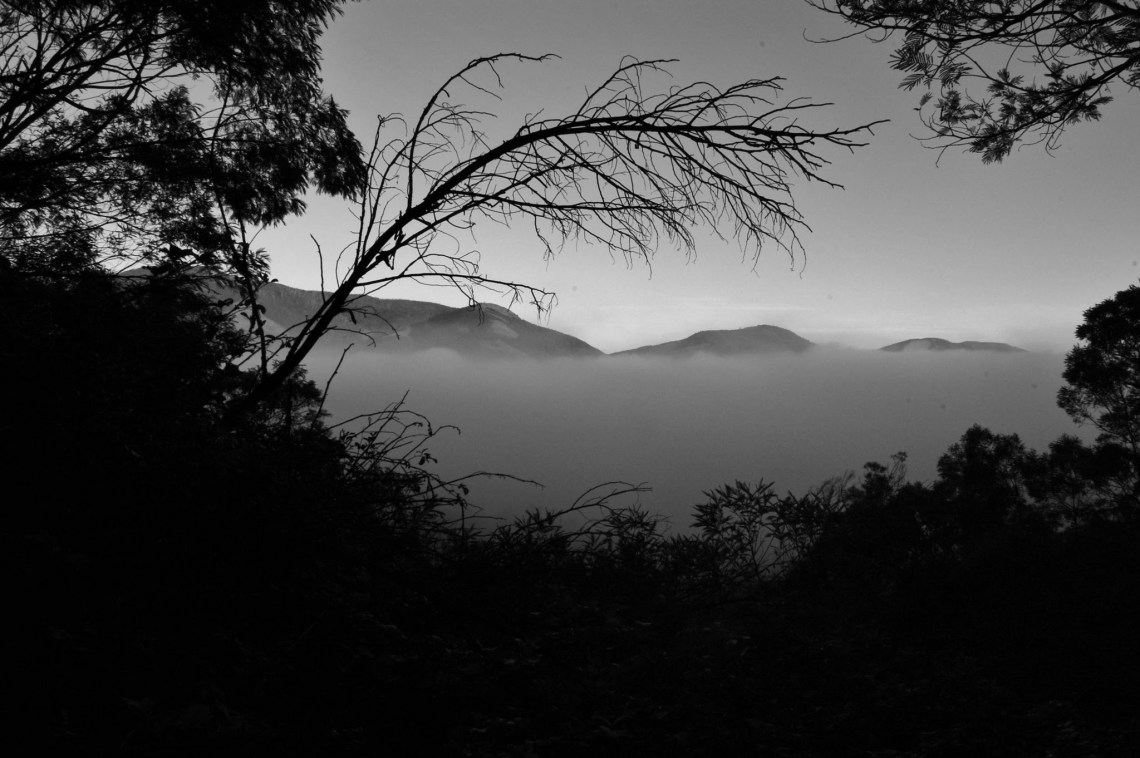 Photos 2012-01-10 003.jpg